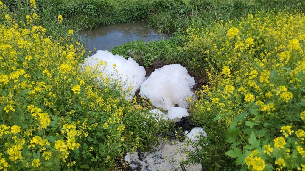 (2)202_1 Sewage overflow in the Zippori Basin. Credit: Hagar Svati