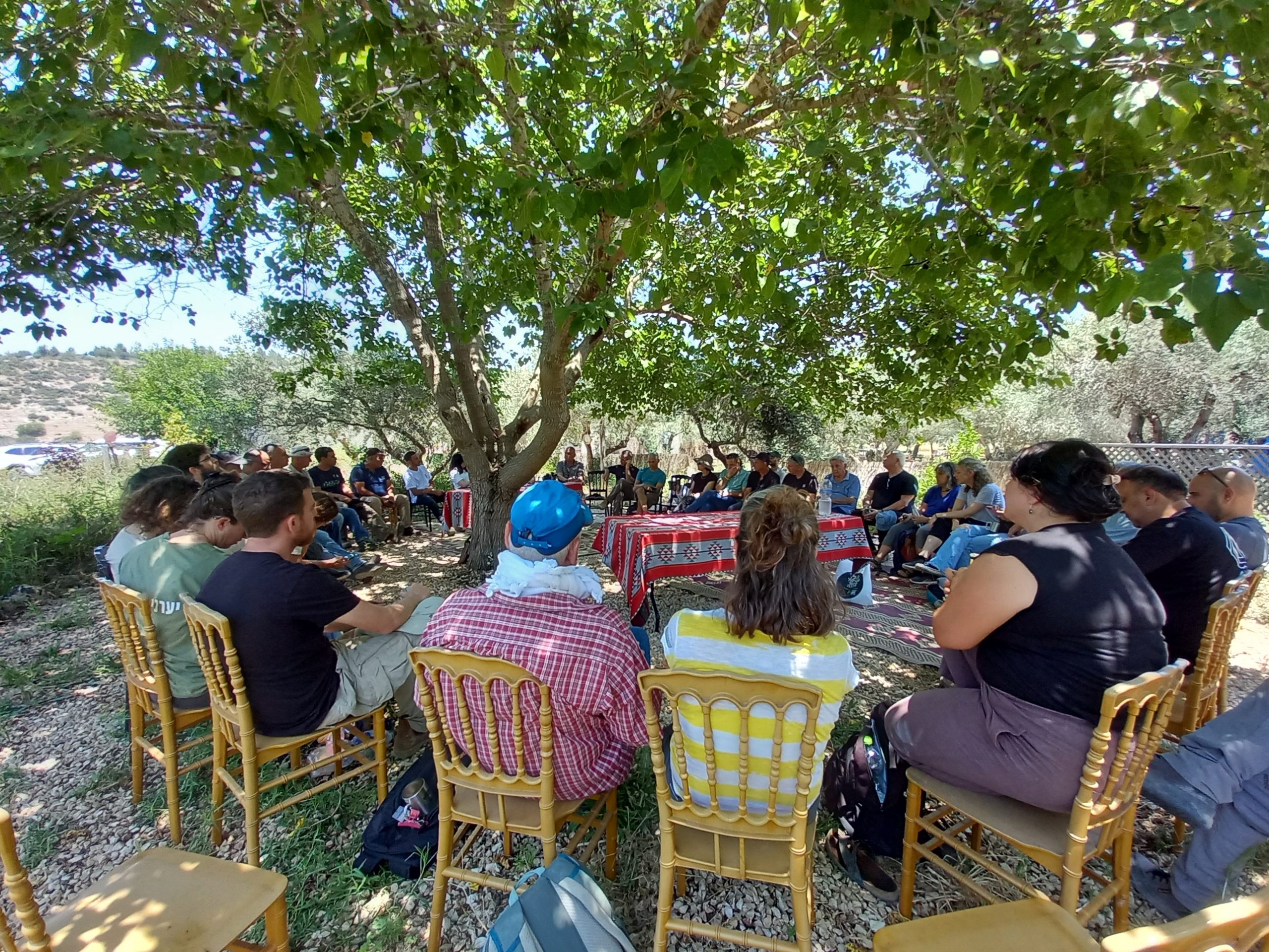 רויטל (1)