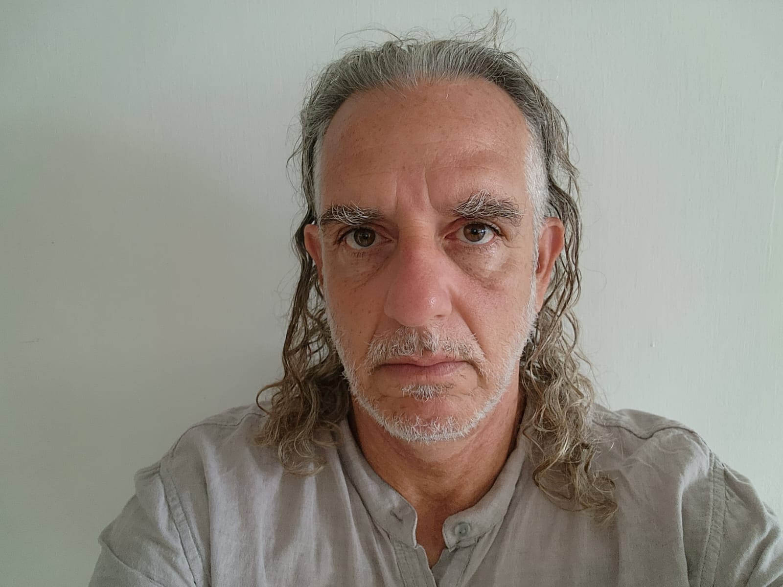רן מולכו